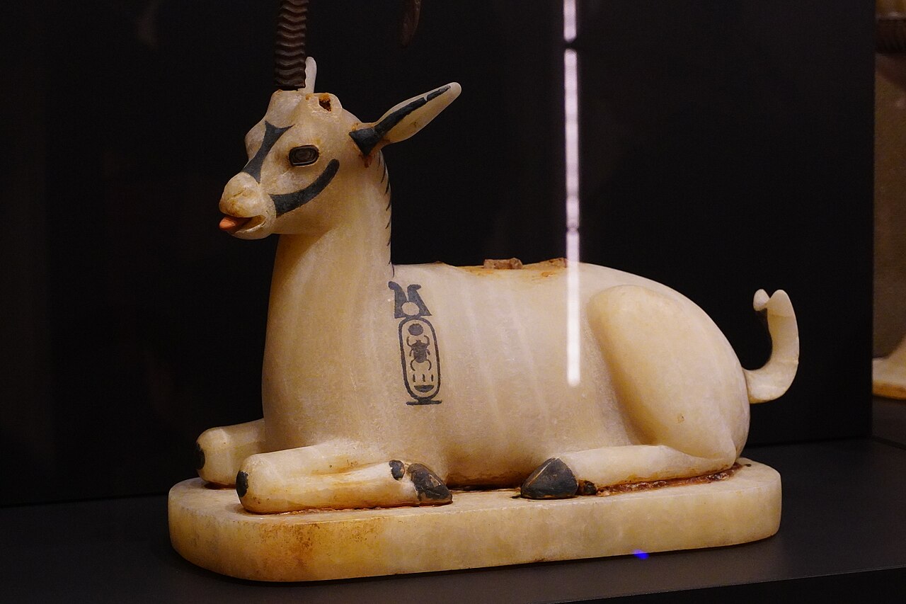 The conservation programme at the GEM-CC